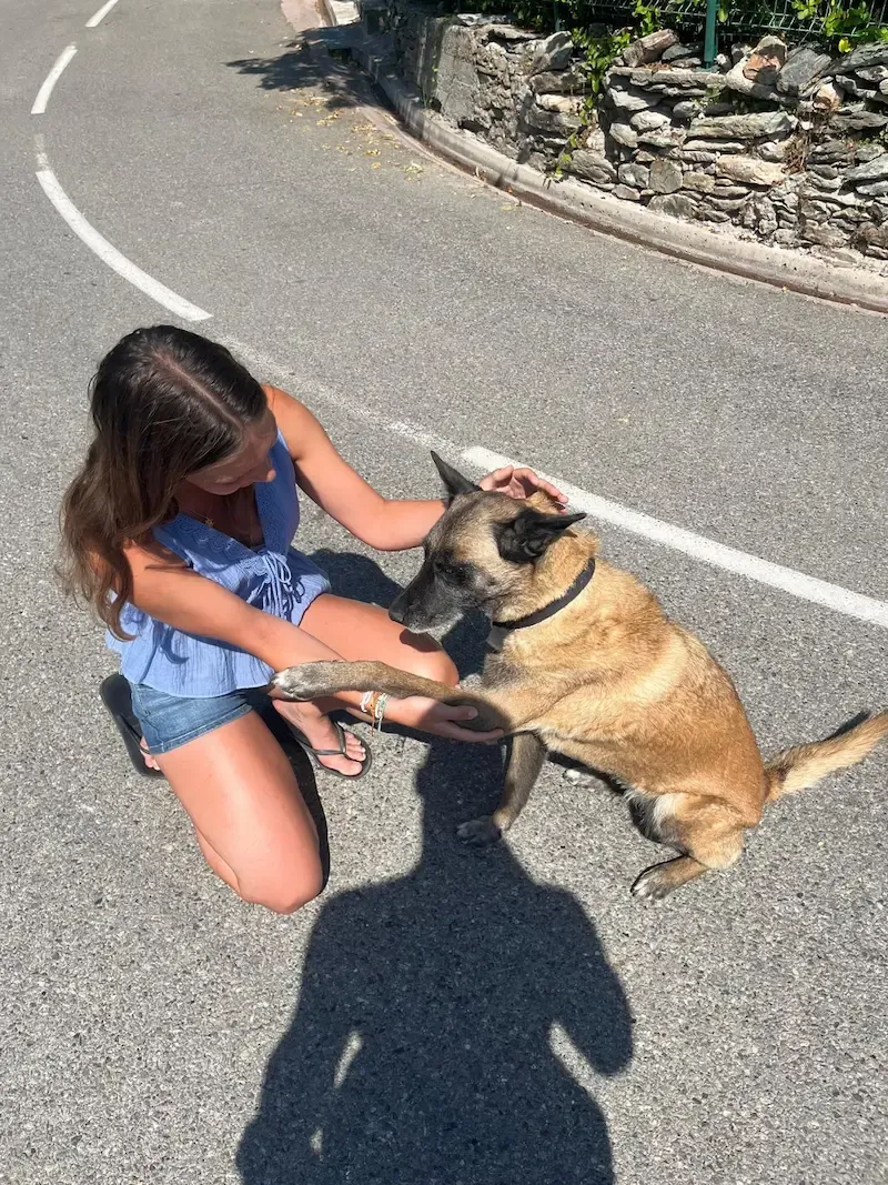 A dog giving Emily its paw