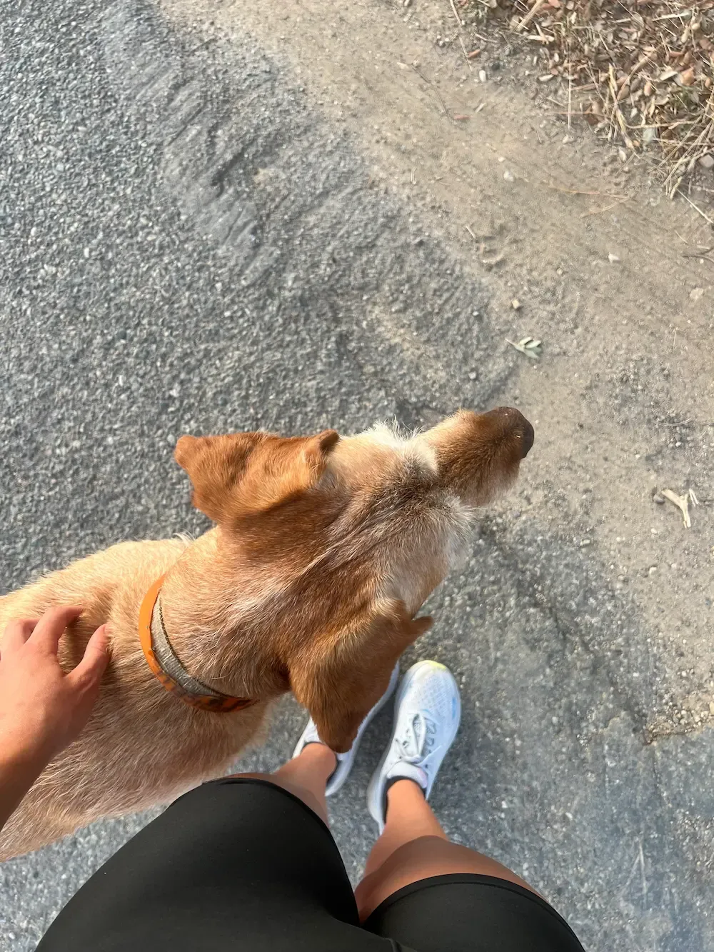 Emily running with a dog